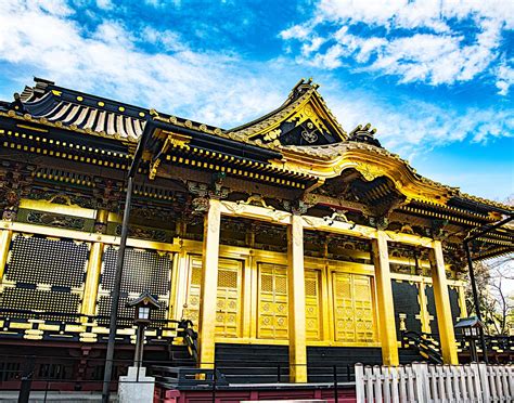  Ueno Toshogu Shrine: Một Nét Đẹp Lãng Mạn Của Thời Edo!